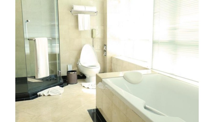 Hotel Miracle Grand Convention poza 2