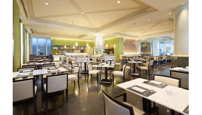 Hotel Miracle Grand Convention poza 9